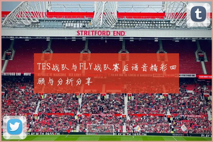 TES战队与FLY战队赛后语音精彩回顾与分析分享