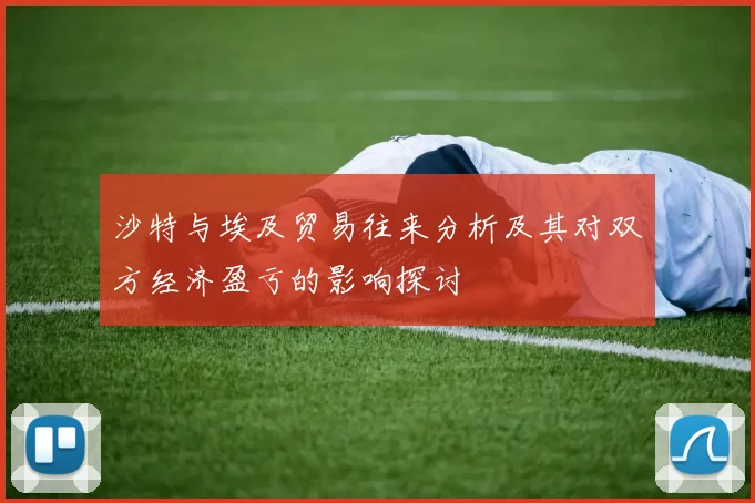 沙特与埃及贸易往来分析及其对双方经济盈亏的影响探讨