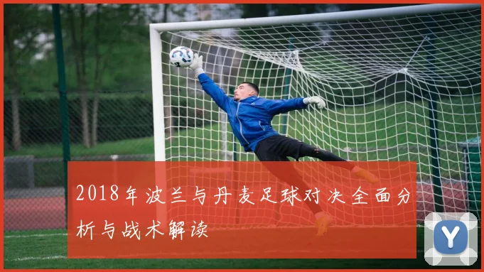 2018年波兰与丹麦足球对决全面分析与战术解读